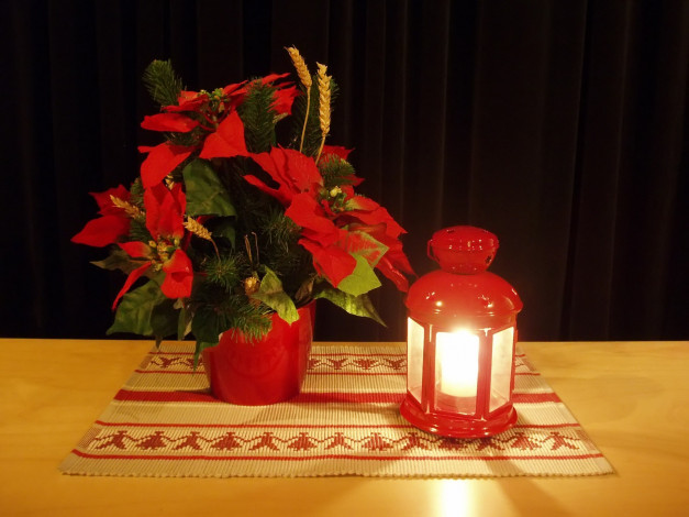 Обои картинки фото christmas, flower, праздничные, новогодние, свечи