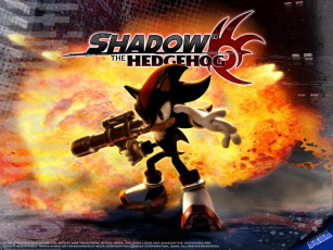 Картинка сегодня твой день видео игры shadow the hedgehog