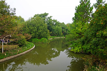 Картинка китай ханьчжоу природа парк водоем деревья