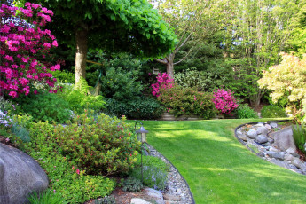 Картинка природа парк сад цветы дорожки клумбы