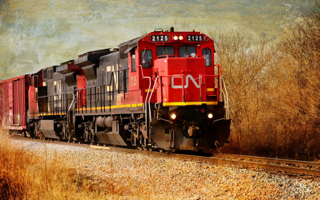 Обои картинки фото train, техника, локомотивы, рельсы, лес, дизельэлектровоз, состав