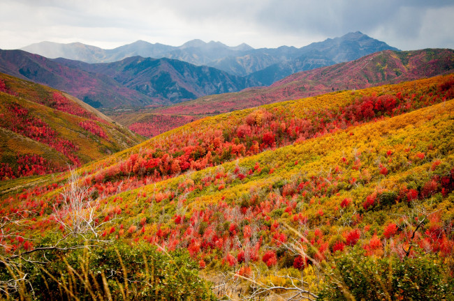 Обои картинки фото природа, горы, осень, пейзаж