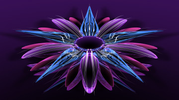 Картинка 3д+графика цветы+ flowers лепестки фон
