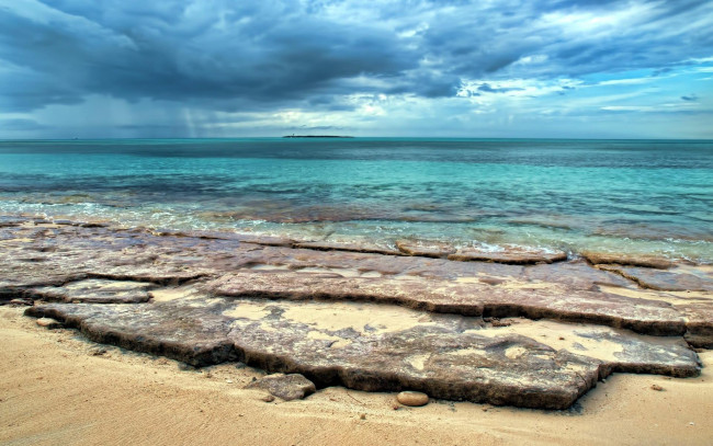 Обои картинки фото природа, побережье, дождь, туи, камни, берег, море