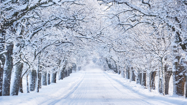Обои картинки фото природа, зима, дорога, снег, деревья