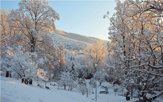 Обои картинки фото природа, зима, снег, деревья, парк, мороз