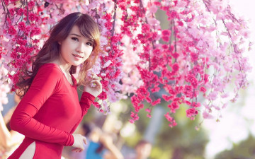 Картинка девушки -+азиатки сакура весна цветение