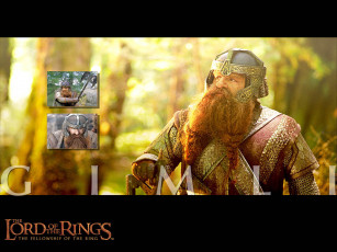 Картинка волосатая каракатица кино фильмы the lord of rings fellowship ring