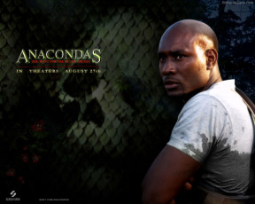 Картинка кино фильмы anacondas