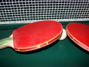 Картинка спорт пинг понг