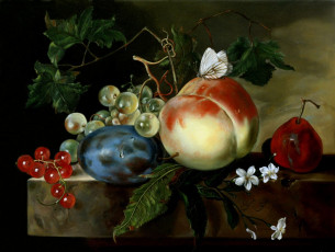 обоя рисованные, jan, van, huysum, фрукты, персик, виноград, слива, груша, бабочка