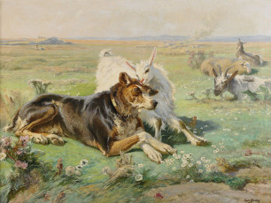 Картинка рисованные henri arthur bonnefoy собака henri-arthur коза