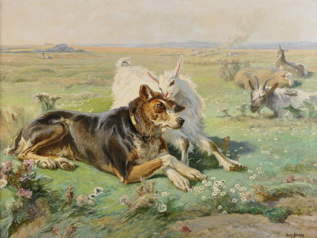 Обои картинки фото рисованные, henri, arthur, bonnefoy, собака, henri-arthur, коза