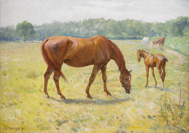 Обои картинки фото рисованные, georg, arsenius, лошадь