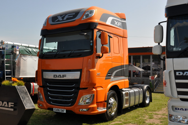 Обои картинки фото daf, автомобили, trucks, nv, седельные, тягачи, шасси, автобусы, нидерланды
