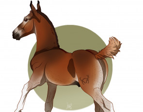 Картинка рисованное животные +лошади лошадка фон