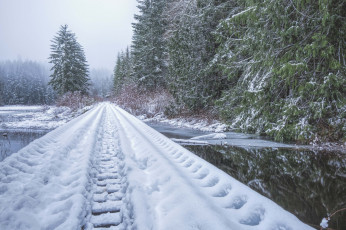 Картинка природа зима лес снег тракт