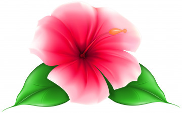 Картинка векторная+графика цветы+ flowers фон цветок лепестки