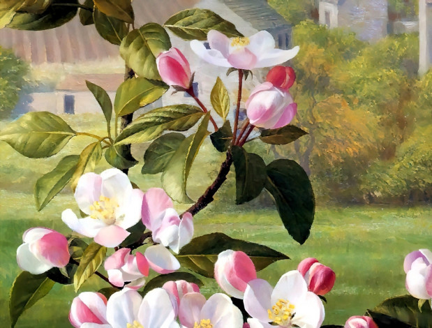 Обои картинки фото raymond booth, рисованное, цветы, ветка, цветение, дом, сад
