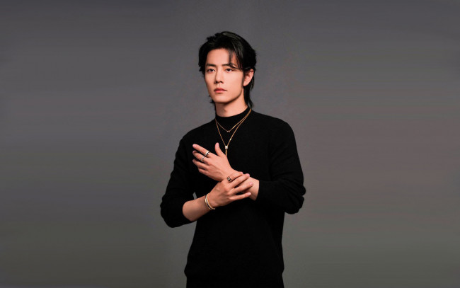 Обои картинки фото мужчины, xiao zhan, актер, свитер, украшения