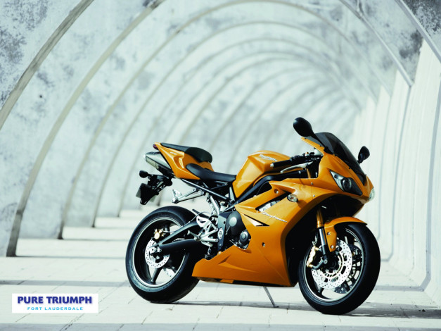 Обои картинки фото мотоциклы, triumph