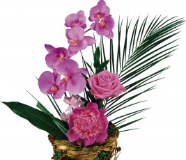 Картинка цветы букеты композиции орхидея пион роза