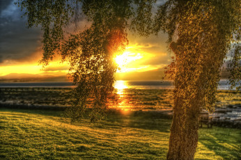 Картинка природа восходы закаты солнце дерево зарево пейзаж