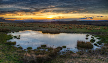 Картинка природа восходы закаты вода трава солнце растительность