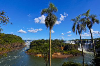 обоя iguazu, falls, природа, водопады, река, остров, пальмы, скалы, водопад, тропики