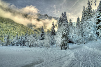 Картинка австрийские альпы природа зима снег горы ели