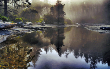 Картинка природа реки озера лес река туман тишина