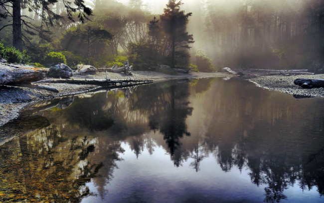 Обои картинки фото природа, реки, озера, лес, река, туман, тишина