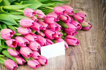 обоя цветы, тюльпаны, записка, розовый, много, бутоны