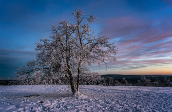 Картинка природа зима снег поле