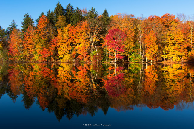 Обои картинки фото природа, реки, озера, осень, отражение, лес, озеро