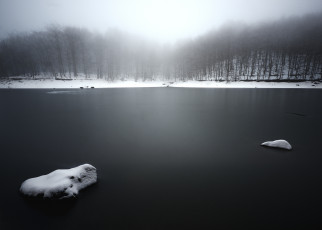 Картинка природа реки озера озеро лес туман снег