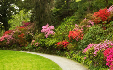 Картинка природа парк великобритания сады рододендрон трава кусты тропа