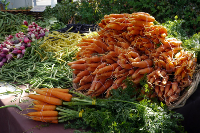 Обои картинки фото еда, морковь, урожай