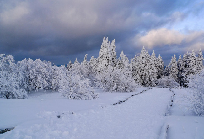 Обои картинки фото природа, зима, деревья, снег, пейзаж, дорога