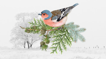 Картинка рисованное животные +птицы ветка птица