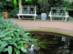 Картинка природа парк фонтан ваза скамейки
