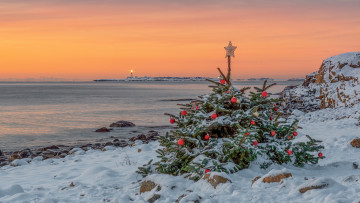 Картинка праздничные ёлки закат побережье снег елка шарики