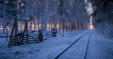 Картинка разное транспортные+средства+и+магистрали лес снег железная дорога