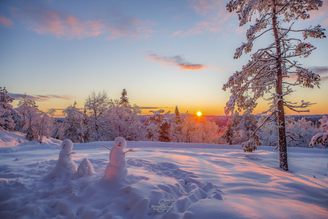 Обои картинки фото природа, восходы, закаты, зима, снег