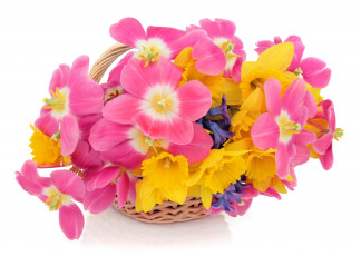 Картинка цветы букеты композиции розовый желтый корзинка синий