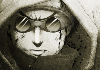 Картинка аниме naruto жуки очки капюшон лицо арт шино