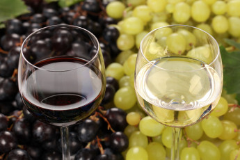 обоя еда, напитки,  вино, бокалы, вино, виноград, белое, красное