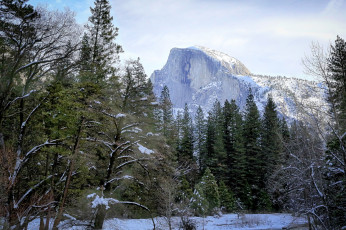 Картинка природа горы лес снега вершина