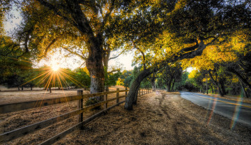 Картинка природа восходы закаты деревья забор дорога лучи свет солнце