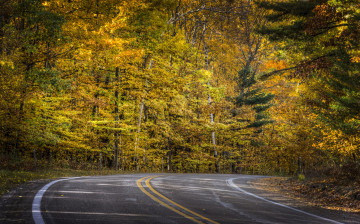 обоя природа, дороги, дорога, лес, осень, листва